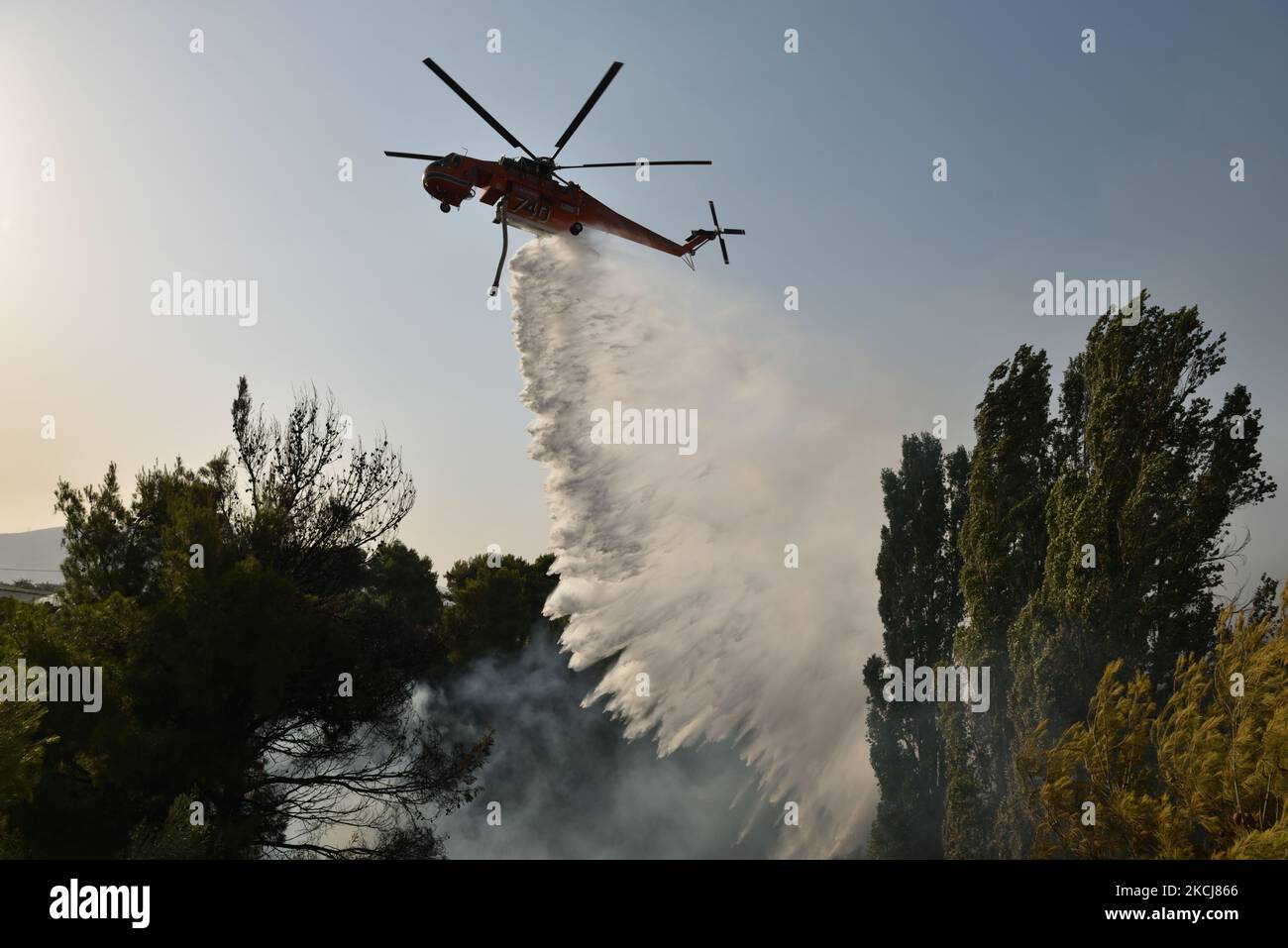 Un hélicoptère de pompier pulvérise de l'eau pour contenir un feu de forêt dans la banlieue nord d'Athènes, Varimpompi, sur 4 août 2021. (Photo de Nicolas Koutsokostas/NurPhoto) Banque D'Images