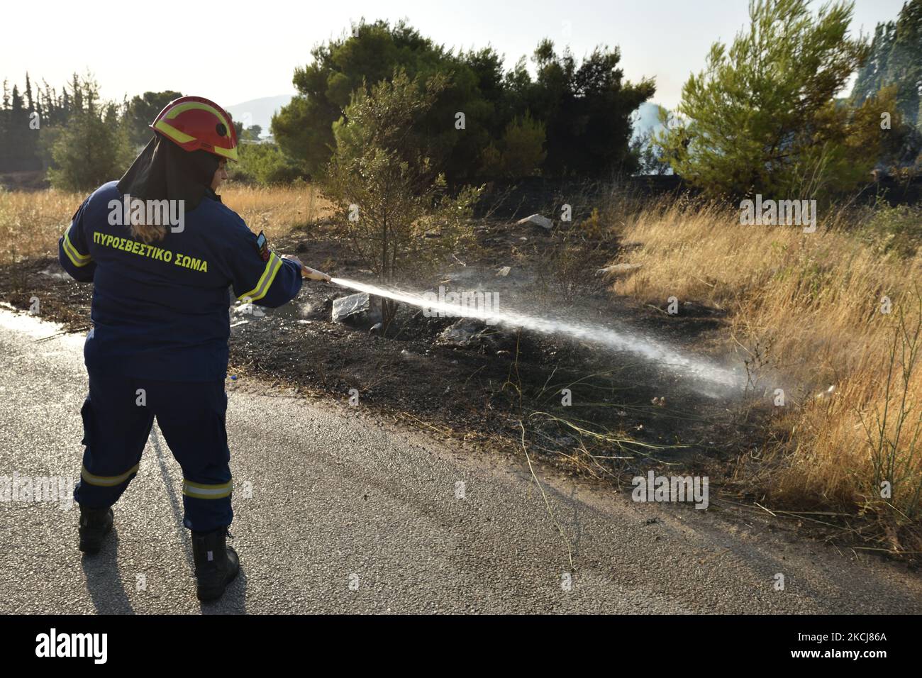 Un pompier argue de l'eau pour contenir un feu de forêt dans la banlieue nord d'Athènes, Varimpompi, sur 4 août 2021. (Photo de Nicolas Koutsokostas/NurPhoto) Banque D'Images