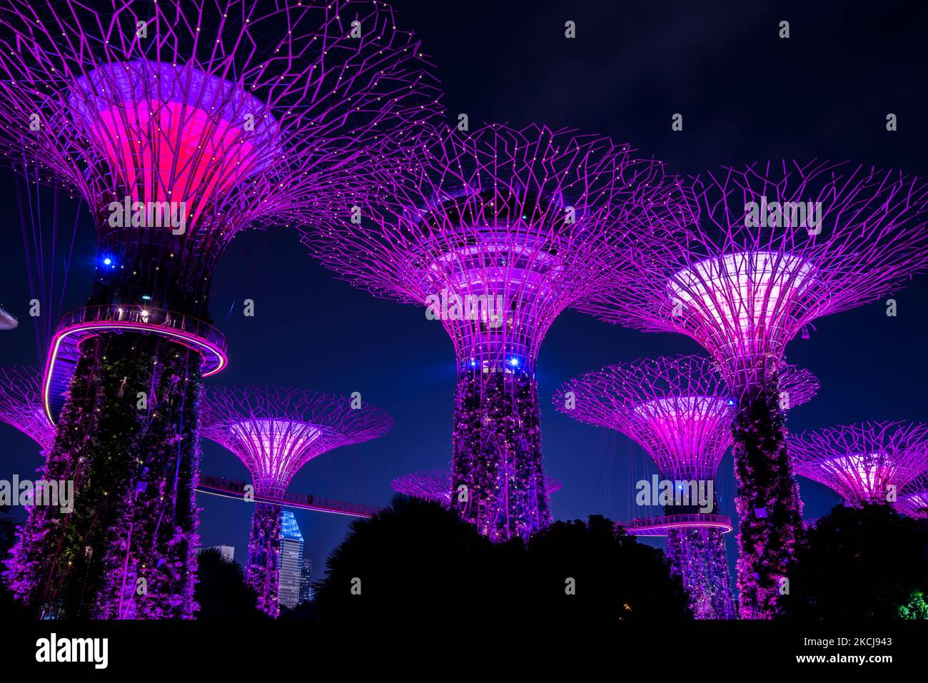 Ville de Singapour, Singapour - 11 septembre,2019: Vue de nuit des jardins près de la baie un parc naturel dans la ville de Singapour. Banque D'Images Ville de Singapour, Singapour - 11 septembre,2019: Vue de nuit des jardins près de la baie un parc naturel dans la ville de Singapour. Banque D'Images