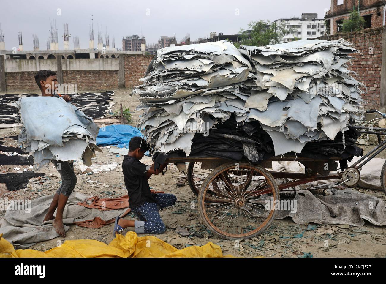 Les travailleurs pour enfants chargent du cuir sec brut sur une fourgonnette pour se déplacer dans un centre de câblage pour poursuivre la transformation à Dhaka, au Bangladesh, sur 10 août 2021. (Photo de Syed Mahamudur Rahman/NurPhoto) Banque D'Images Les travailleurs pour enfants chargent du cuir sec brut sur une fourgonnette pour se déplacer dans un centre de câblage pour poursuivre la transformation à Dhaka, au Bangladesh, sur 10 août 2021. (Photo de Syed Mahamudur Rahman/NurPhoto) Banque D'Images