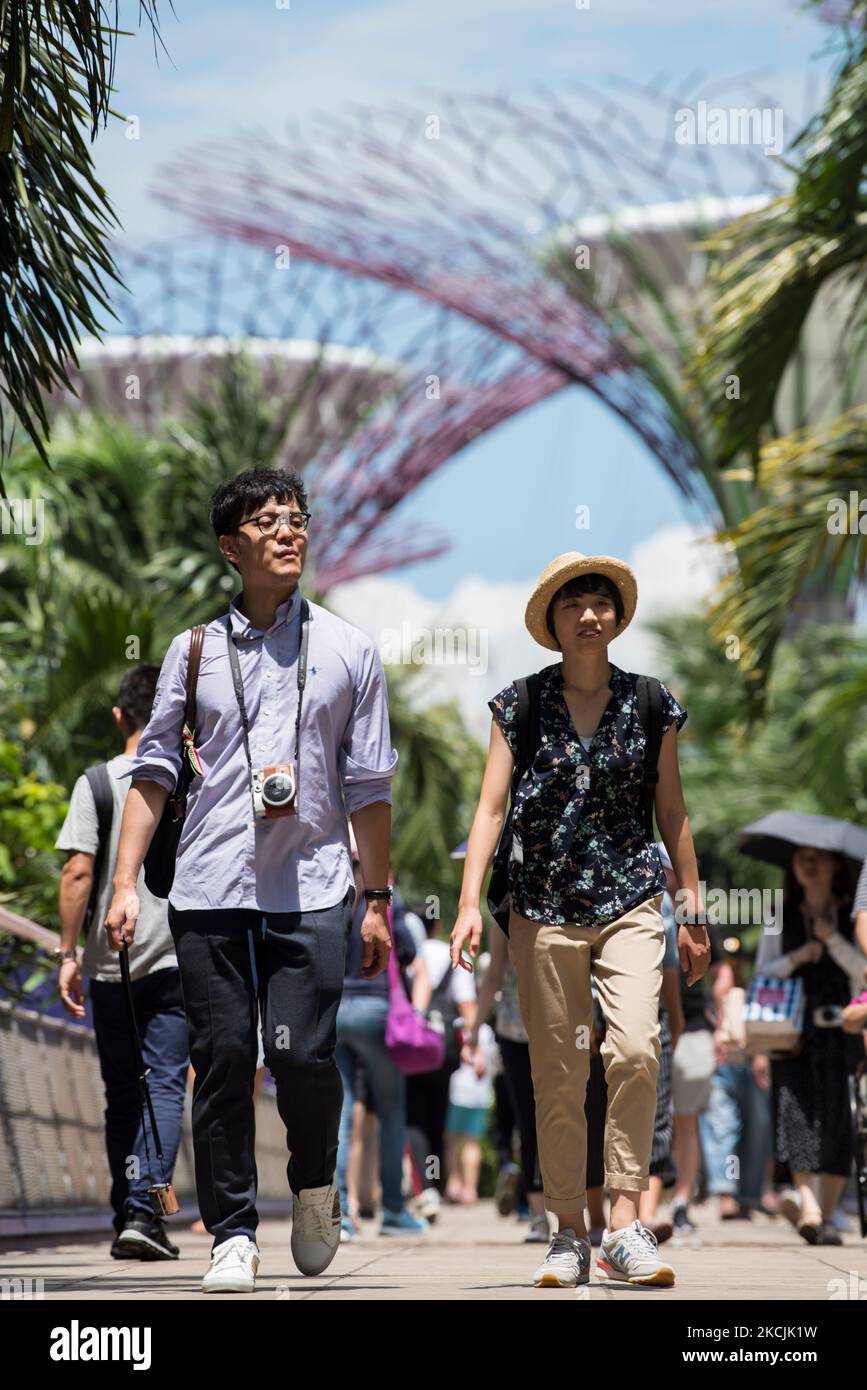 Ville de Singapour, Singapour-08 septembre,2019: Les touristes visitent les jardins près de la baie un parc naturel dans la ville de Singapour. Banque D'Images Ville de Singapour, Singapour-08 septembre,2019: Les touristes visitent les jardins près de la baie un parc naturel dans la ville de Singapour. Banque D'Images
