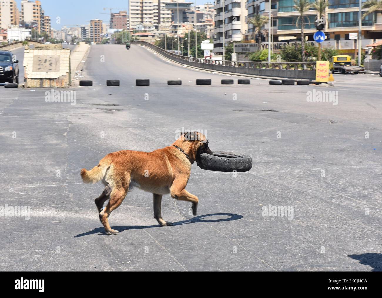 La route est bloquée à Beyrouth en raison de la levée des subventions au carburant à Beyrouth, au Liban, sur 11 août 2021, pendant la crise économique qui s'aggrave dans le pays. (Photo par Fadel Itani/NurPhoto) Banque D'Images