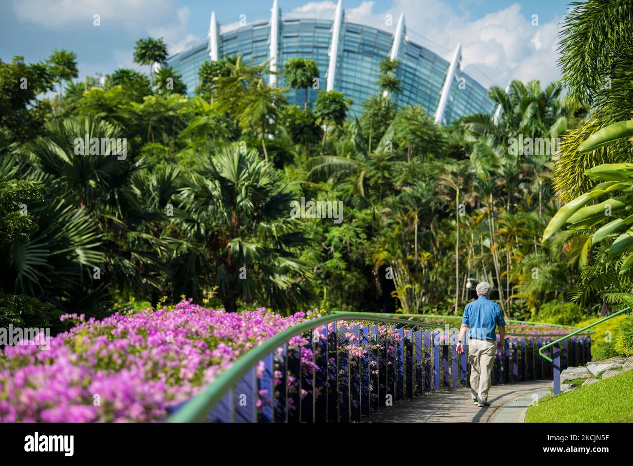 Ville de Singapour, Singapour-08 septembre,2019: Les touristes visitent les jardins près de la baie un parc naturel dans la ville de Singapour. Banque D'Images Ville de Singapour, Singapour-08 septembre,2019: Les touristes visitent les jardins près de la baie un parc naturel dans la ville de Singapour. Banque D'Images