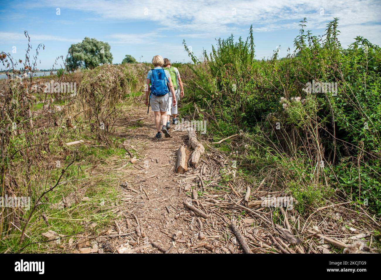 Un homme marche avec son chien à travers le reste des troncs tombés sur un chemin en raison de la haute eau des dernières inondations en Allemagne, à l'Ooijpolder, aux pays-Bas, sur 15 août 2021. (Photo par Romy Arroyo Fernandez/NurPhoto) Banque D'Images