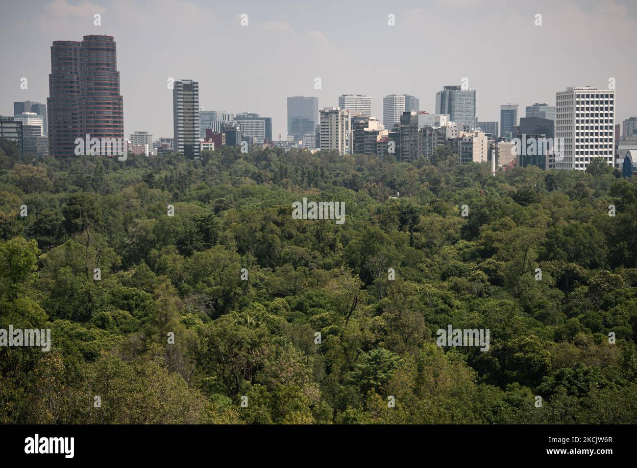 Le 17 août 2021, une légère brume de pollution atmosphérique s'est accrochée au-dessus de Mexico, au Mexique, obscurcissant le paysage urbain et les nombreux gratte-ciels de la ville, illustrés ici, qui s'élève au-dessus de la forêt de Chapultepec. (Photo de Diego Cupolo/NurPhoto) Banque D'Images