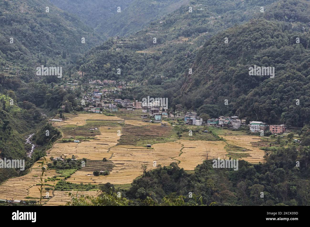 Rizières en terrasses près de la ville de Demtam, dans la vallée de Demtam, à Sikkim ouest, en Inde, sur 14 novembre 2012. La vallée de Demtam est une destination touristique populaire et est réputée pour ses paysages majestueux. (Photo de Creative Touch Imaging Ltd./NurPhoto) Banque D'Images