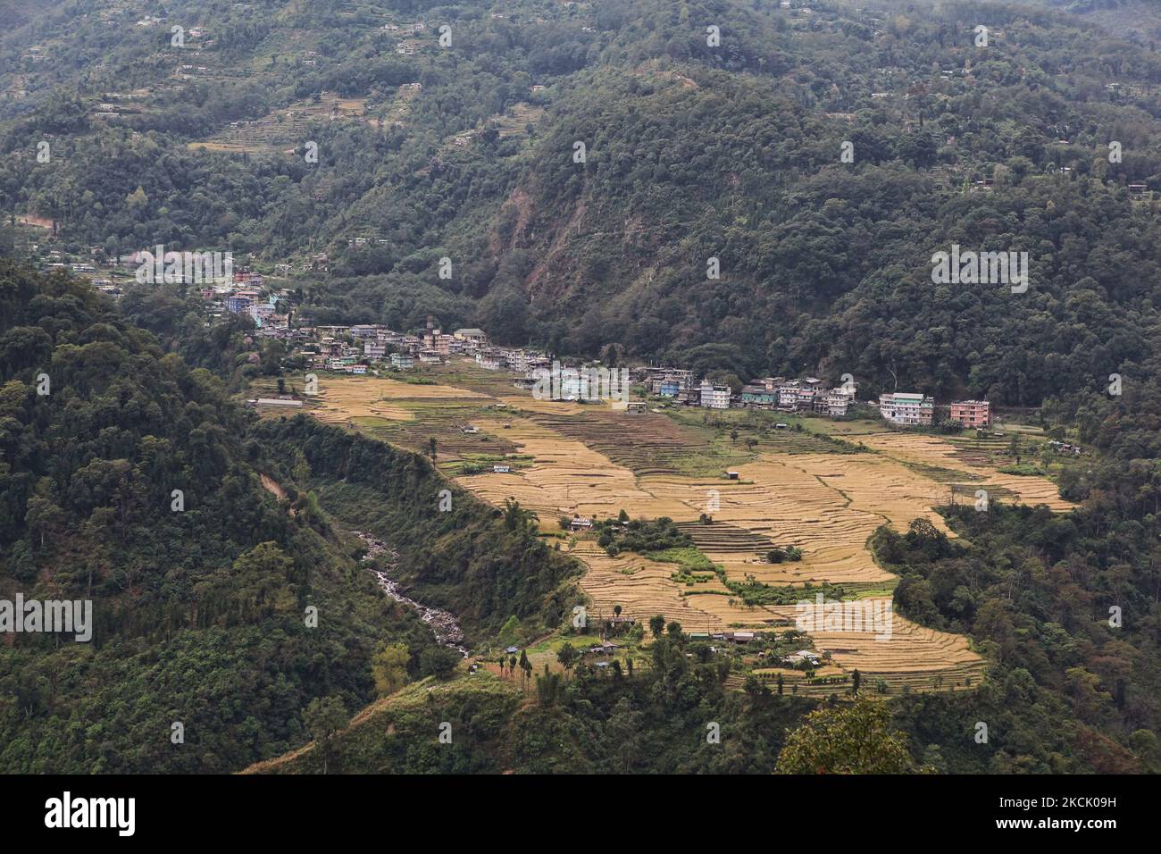 Rizières en terrasses près de la ville de Demtam, dans la vallée de Demtam, à Sikkim ouest, en Inde, sur 14 novembre 2012. La vallée de Demtam est une destination touristique populaire et est réputée pour ses paysages majestueux. (Photo de Creative Touch Imaging Ltd./NurPhoto) Banque D'Images