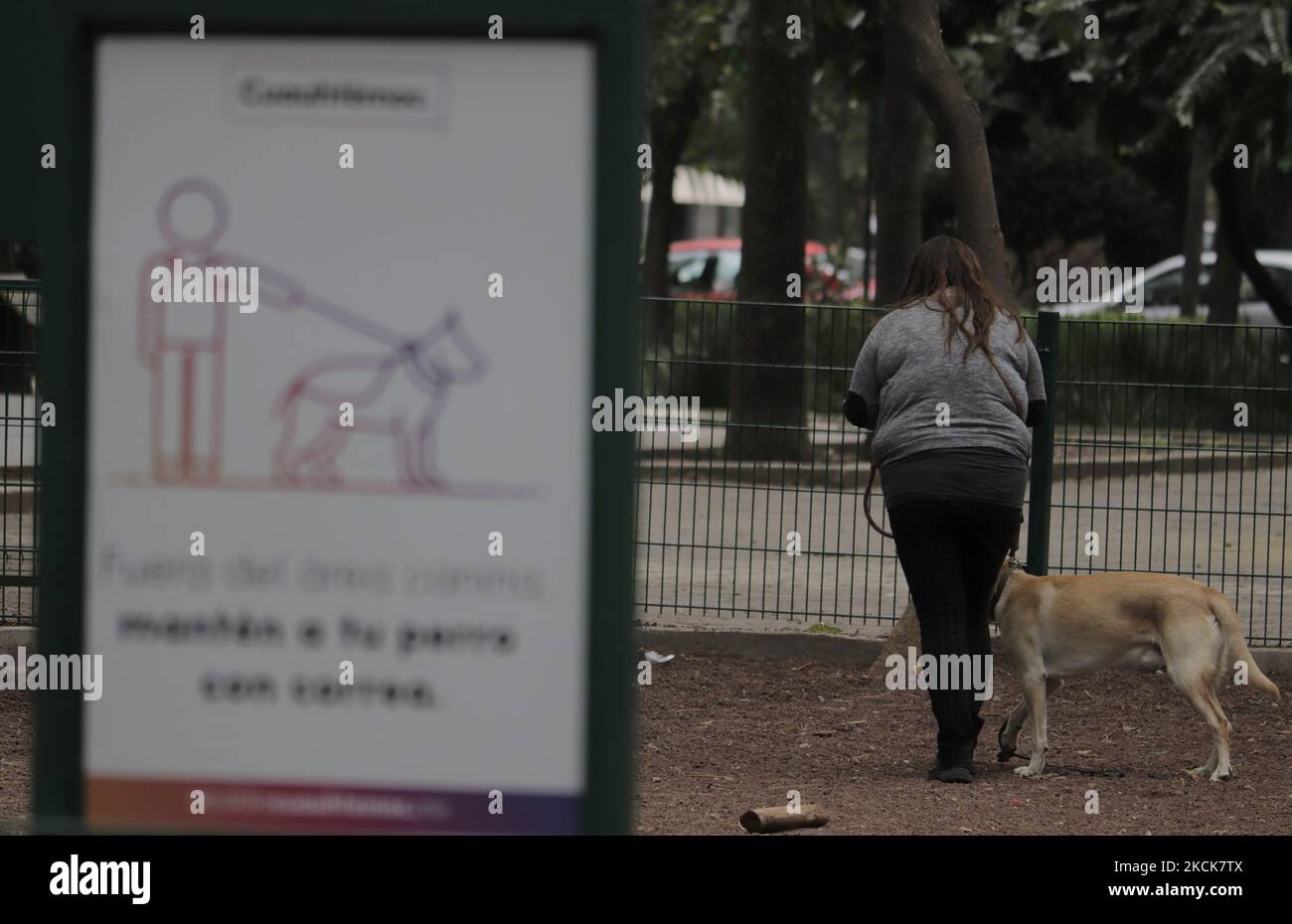 Une femme marche son chien dans le Parque España à Mexico, le jour de la commémoration de la Journée internationale des chiens, créée en 2004 pour sensibiliser la population aux mauvais traitements et à l'abandon de ces animaux dans le monde entier. (Photo de Gerardo Vieyra/NurPhoto) Banque D'Images