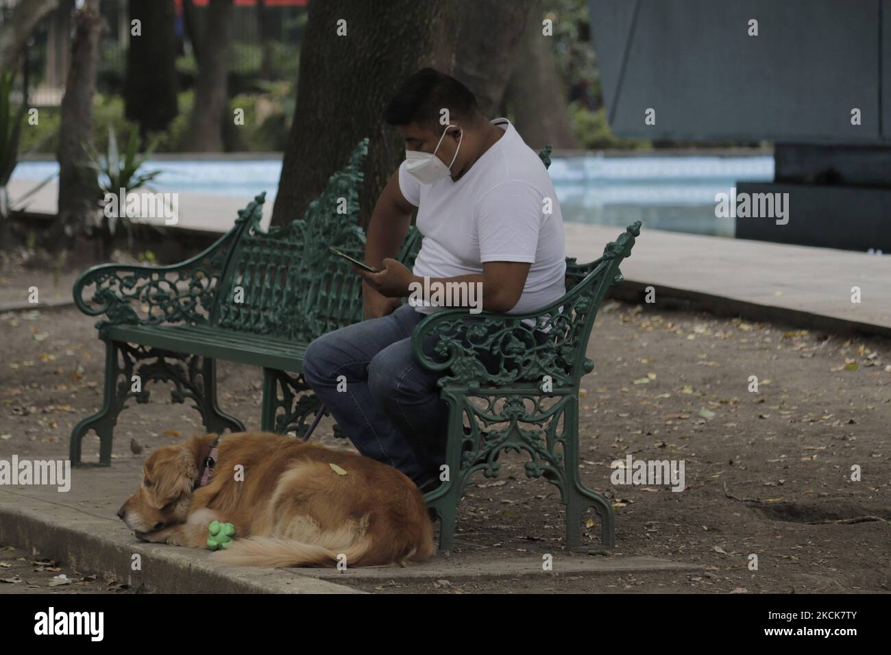 Un homme avec son chien dans le Parque España à Mexico, le jour de la commémoration de la Journée internationale des chiens, qui a été créée en 2004 pour sensibiliser la population aux mauvais traitements et à l'abandon de ces animaux dans le monde entier. (Photo de Gerardo Vieyra/NurPhoto) Banque D'Images