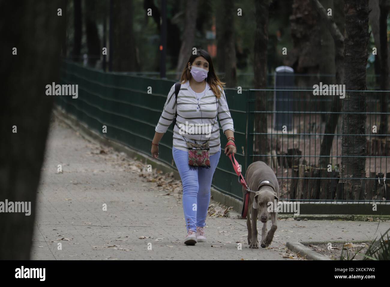 Une femme marche son chien dans le Parque España à Mexico, le jour de la commémoration de la Journée internationale des chiens, créée en 2004 pour sensibiliser la population aux mauvais traitements et à l'abandon de ces animaux dans le monde entier. (Photo de Gerardo Vieyra/NurPhoto) Banque D'Images