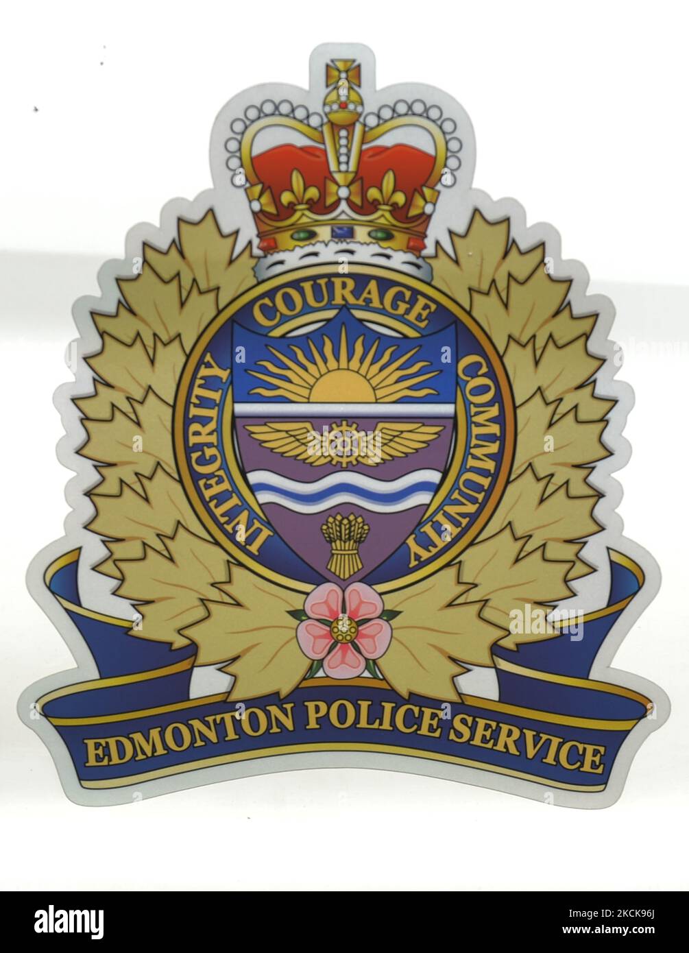 Le logo de l'Edmonton police Serrvice est visible sur une voiture de police garée, au centre-ville d'Edmonton. Jeudi, 26 août 2021, à Edmonton, Alberta, Canada. (Photo par Artur Widak/NurPhoto) Banque D'Images