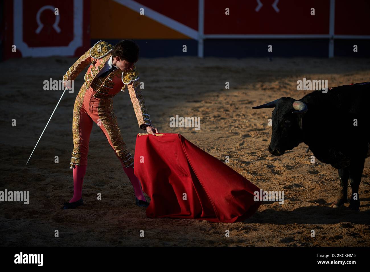 Bullfighter Fabio Jimenez dans le ring à San Adrian, Espagne, sur 29 août 2021. (Photo par Iranzu Larrasoana Oneca/NurPhoto) Banque D'Images