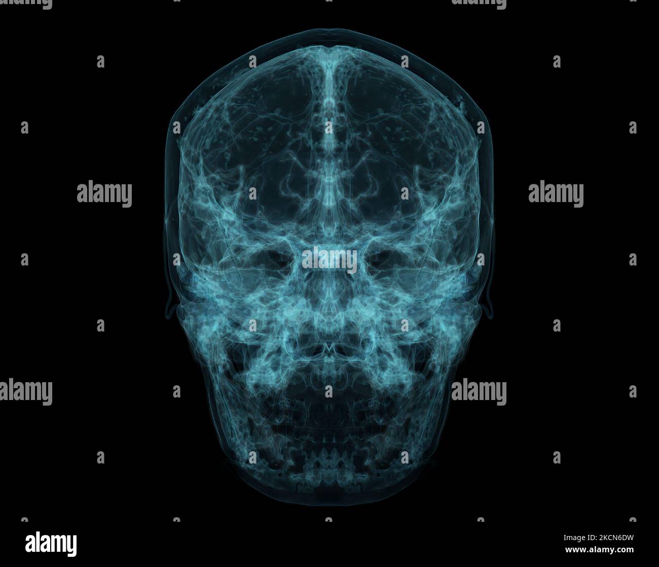 Crâne humain, cerveau par acquisition CT. Visualisation des rayons X à l'intérieur du crâne. 3D rendu d'illustration. Banque D'Images