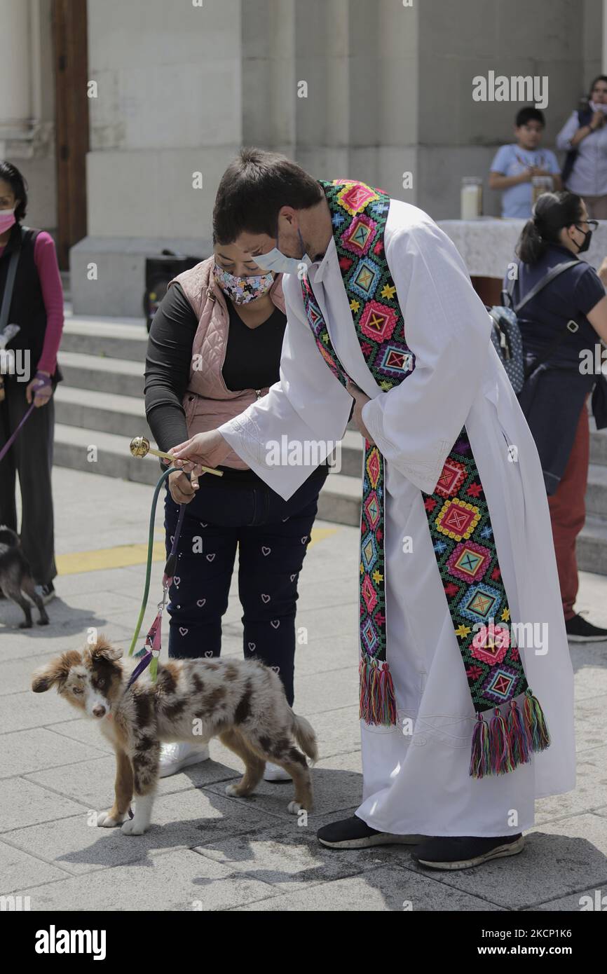 Un prêtre à l'extérieur de la paroisse Sainte de la famille à Colonia