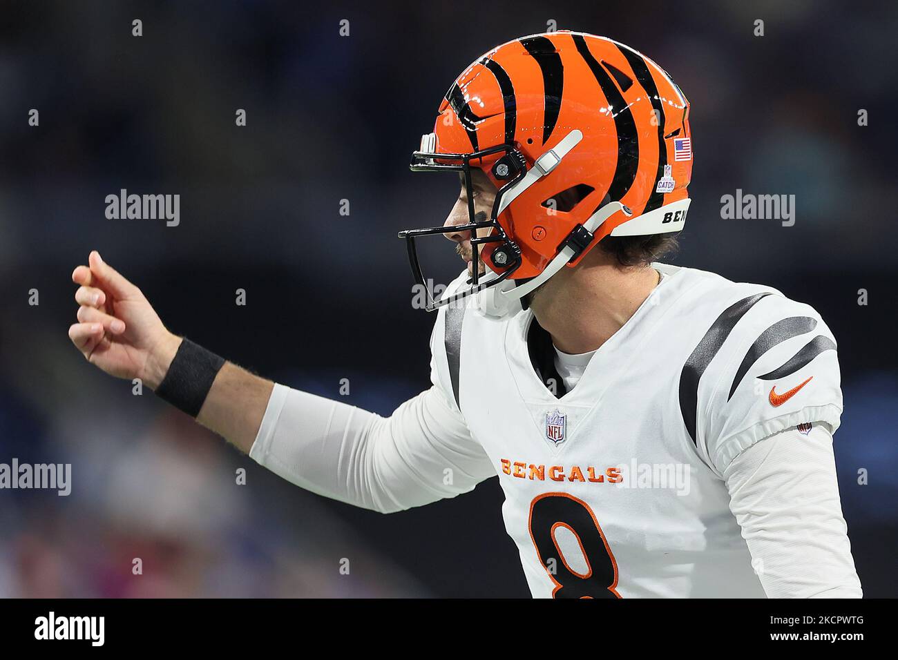 Le quarterback des Bengals de Cincinnati Brandon Allen (8) gestes avant un match de football de la NFL entre les Lions de Detroit et les Bengals de Cincinnati à Detroit, Michigan, États-Unis, dimanche, 17 octobre 2021. (Photo par Amy Lemus/NurPhoto) Banque D'Images