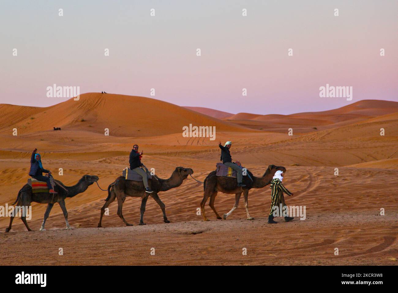 Les touristes voyagent en chameaux le long des dunes de sable dans le désert d'Erg Chebbi près du petit village de Merzouga au Maroc, en Afrique. Merzouga est un village dans le désert du Sahara au Maroc, au bord de Erg Chebbi, un ensemble de 50km longues et 5km larges dunes de sable qui atteignent jusqu'à 350m. (Photo de Creative Touch Imaging Ltd./NurPhoto) Banque D'Images