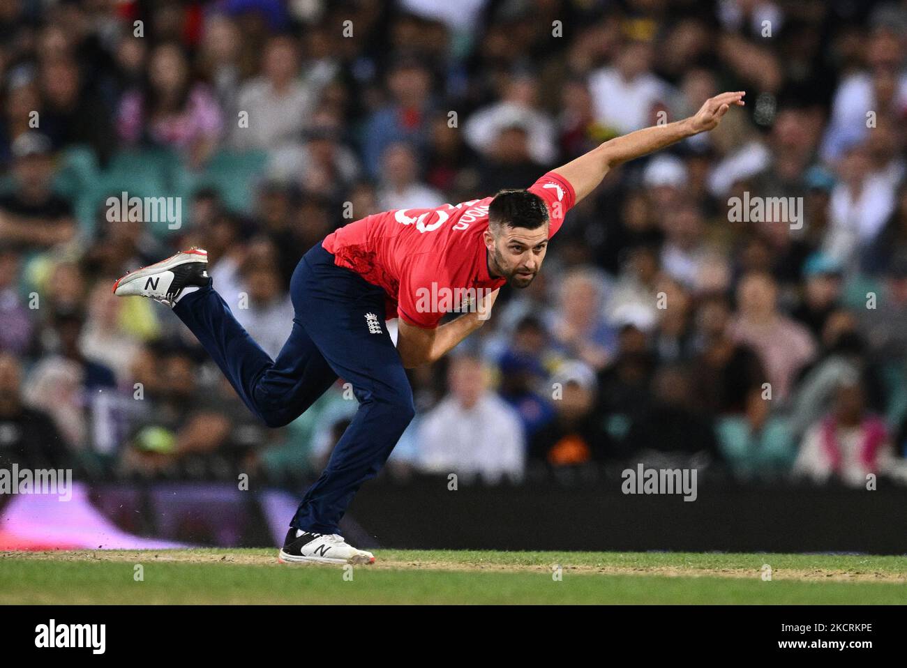 Mark Wood d'Angleterre lors du match de la coupe du monde T20 au Sydney Cricket Ground, Sydney. Date de la photo: Samedi 5 novembre 2022. Banque D'Images