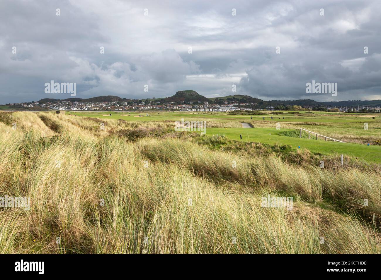 Vue sur Deganwy depuis Conwy Morfa sur le parcours de golf Conwy sur la côte du nord du pays de Galles. Banque D'Images