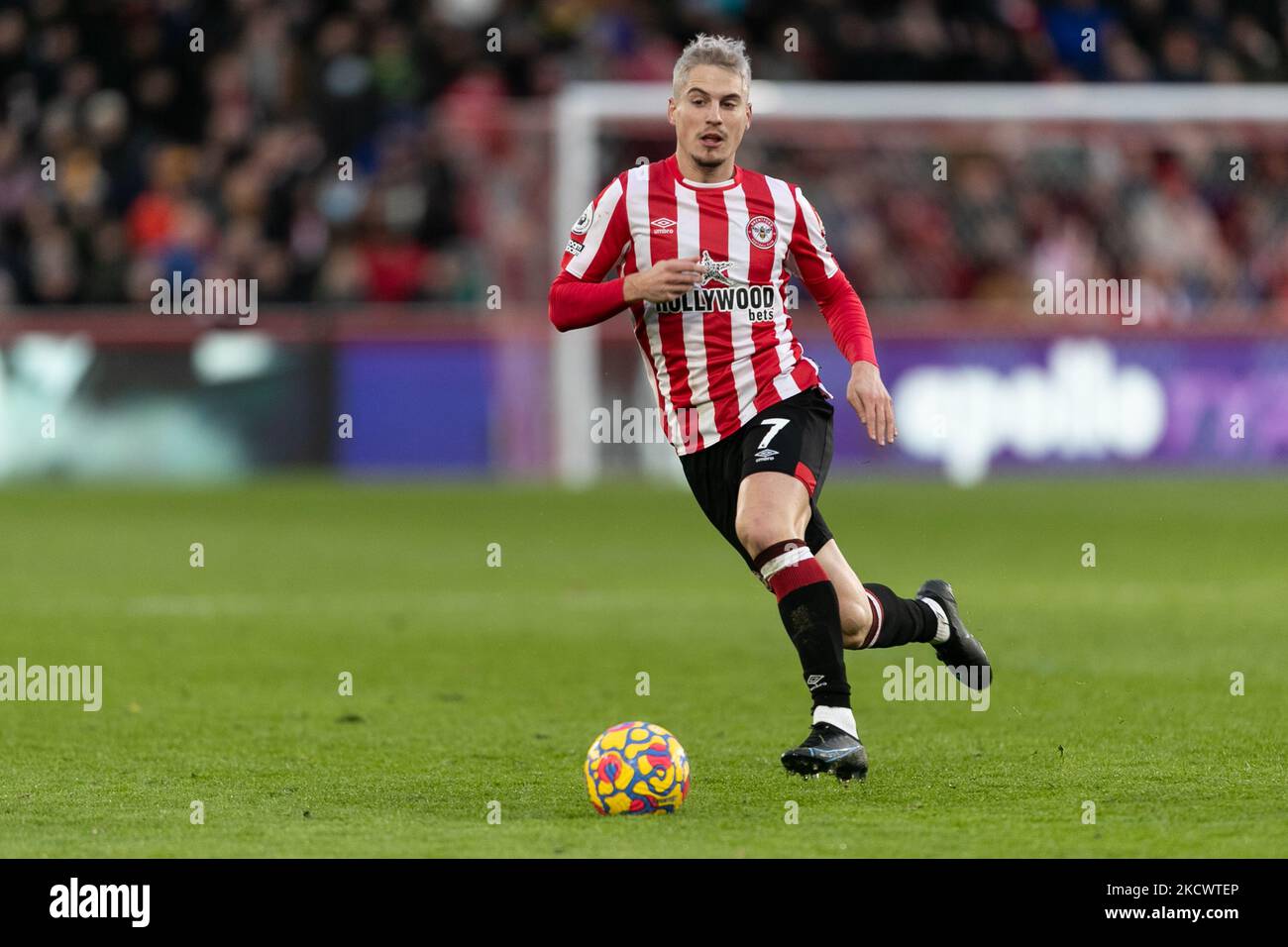 Sergi Canos de Brentford en action lors du match de la Premier League entre Brentford et Everton au stade communautaire de Brentford, Brentford, le dimanche 28th novembre 2021. (Photo de Juan Gasperini/MI News/NurPhoto) Banque D'Images