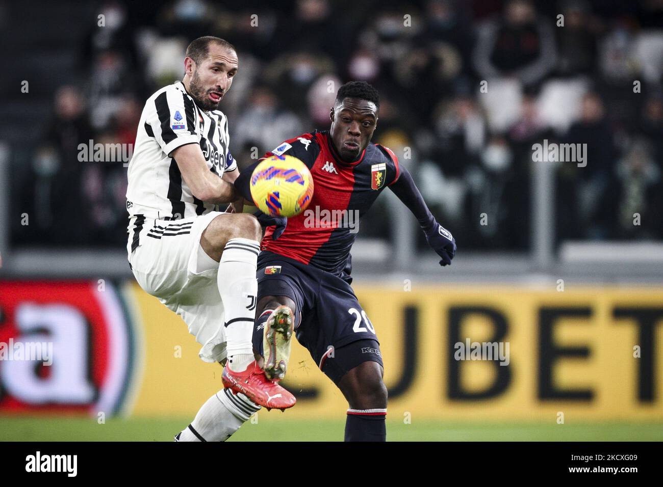 Le défenseur de Juventus Giorgio Chiellini (3) lutte pour le ballon contre l'avant de Gênes Caleb Ekuban (20) pendant le match de football de Serie A n.16 JUVENTUS - GÊNES sur 05 décembre 2021 au stade Allianz à Turin, Piémont, Italie. (Photo de Matteo Bottanelli/NurPhoto) Banque D'Images