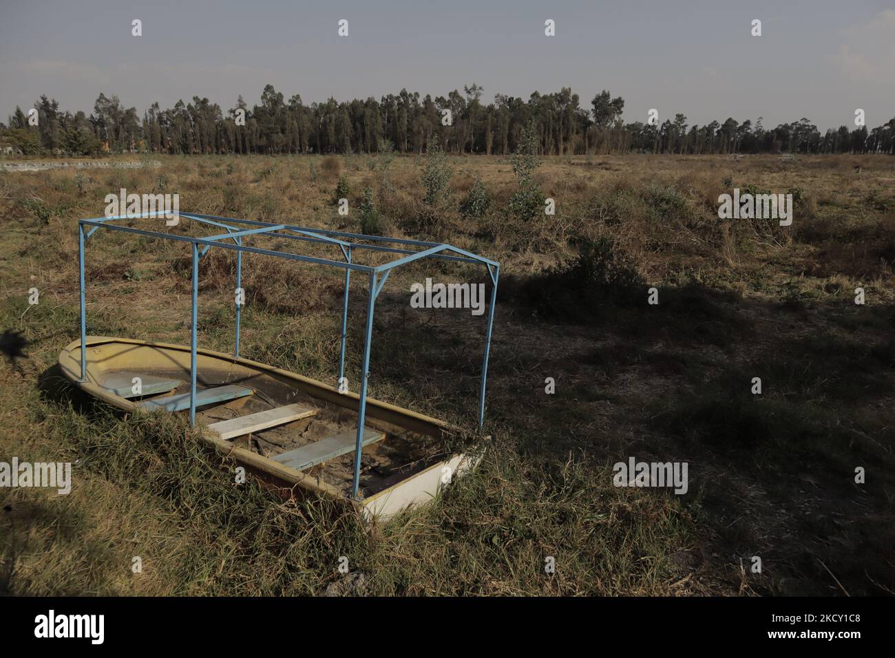 Les bateaux au milieu du lac forestier de Tláhuac sèchent dans son intégralité, en raison du tremblement de terre de 2017 qui a généré des fissures et l'échappement de millions de litres d'eau causant la disparition de certaines espèces marines et l'activité des oiseaux migrateurs. (Photo de Gerardo Vieyra/NurPhoto) Banque D'Images