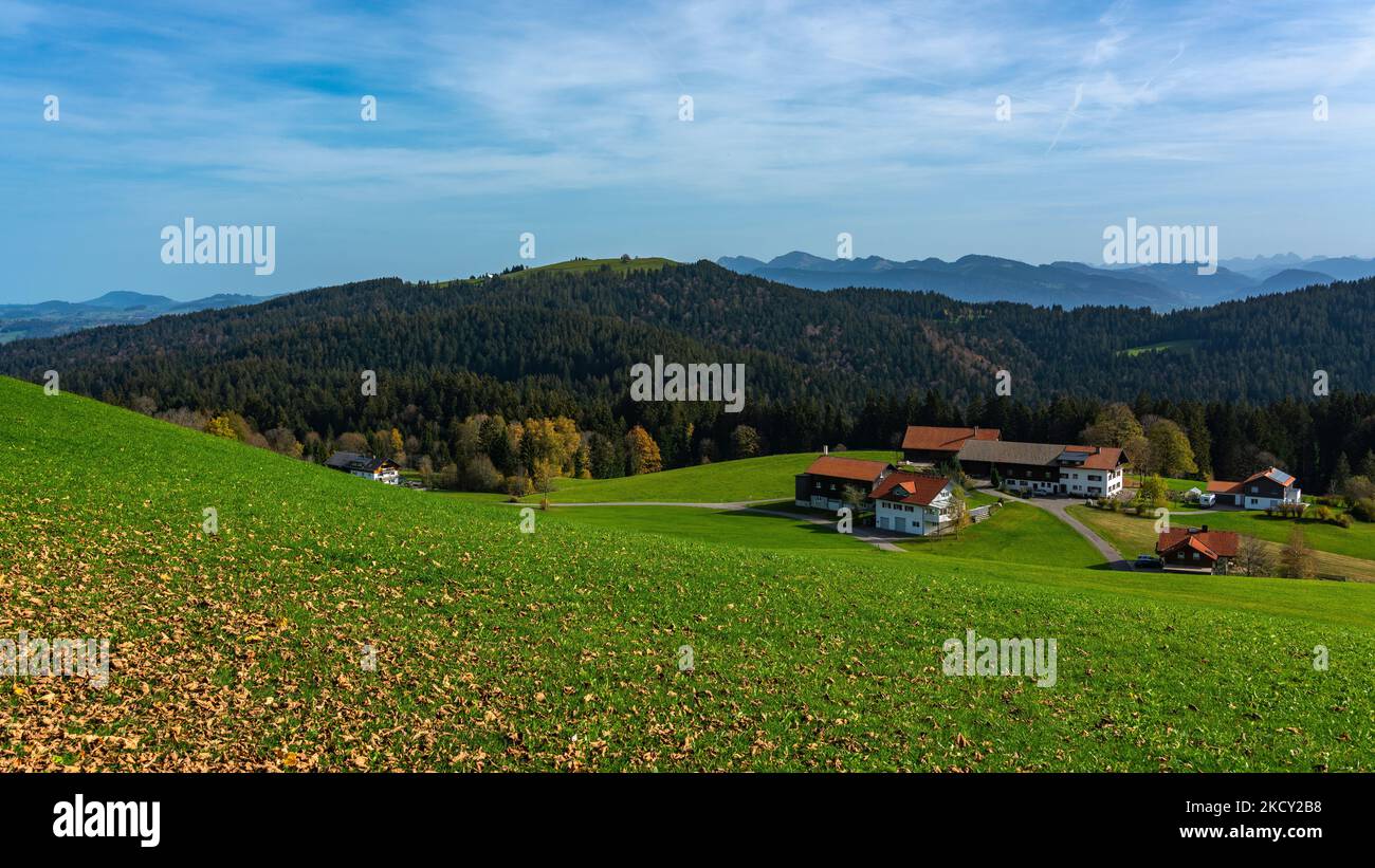 Herbstlicher Panoramablick über den Bregenzerwald mit Kühen auf der Weide, Bauernhäusern und buntem Laub auf grünen Wiesen, Wälder und Berge Banque D'Images