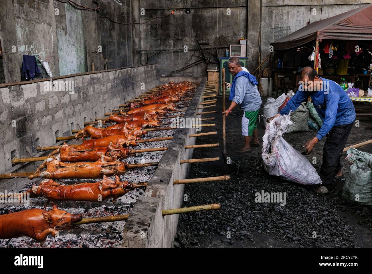 QUEZON CITY, Philippines - les travailleurs commencent à griller des cochons brodés à l'intérieur d'un entrepôt « lechon » dans la ville de Quezon, dans la région métropolitaine de Manille, sur 18 décembre 2021. Le lechon de renommée mondiale, ou cochon de lait rôti, est un plat populaire pour les Philippins, en particulier pendant la période des fêtes. Les gens ont commencé à partir après plus d'un an de COVID19 restrictions de verrouillage, alors que le pays commence à reconstruire son économie. (Photo de George Calvelo/NurPhoto) Banque D'Images