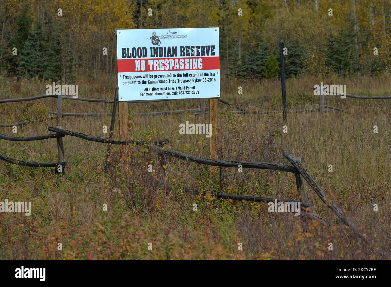 Réserve indienne de Blood - pas d'intrusion. Le mardi 5 octobre 2021, à Waterton, Alberta, Canada. (Photo par Artur Widak/NurPhoto) Banque D'Images