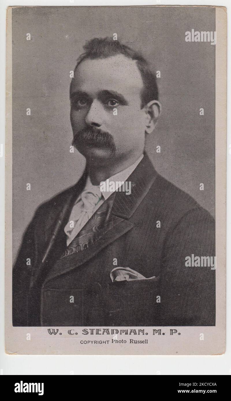 Portrait photographique de William Charles Steadman (1851-1911). W.C. Steadman a été député de Stepney entre 1898-1900 et de Central Finsbury entre 1906 et 1910. Il a été secrétaire de la Commission parlementaire du Congrès syndical des métiers entre 1905 et 1911 Banque D'Images