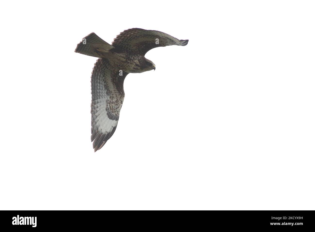 Buse variable Banque D'Images