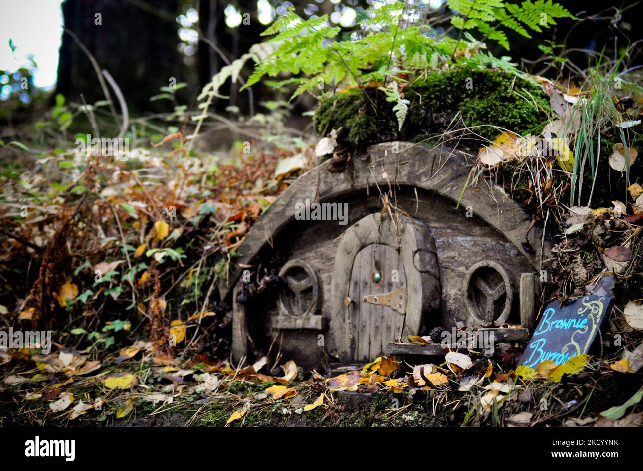 Maisons de fées cachées et portes dans les bois - Brodick Gardens, île d'Arran, Écosse Banque D'Images