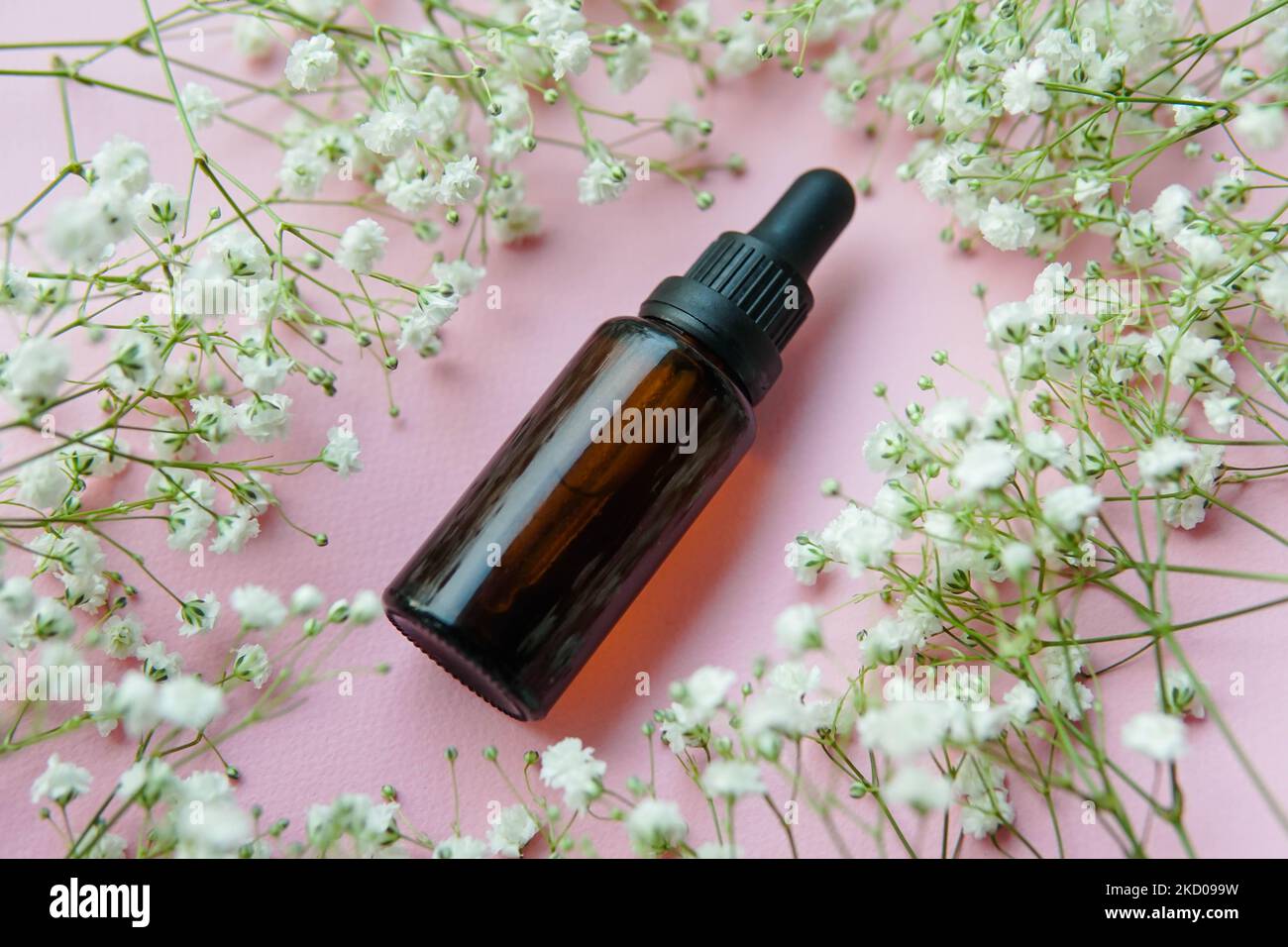 Flacon compte-gouttes en verre brun avec plantes sèches sur fond rose. Produits de soin de la peau , cosmétiques naturels. Banque D'Images
