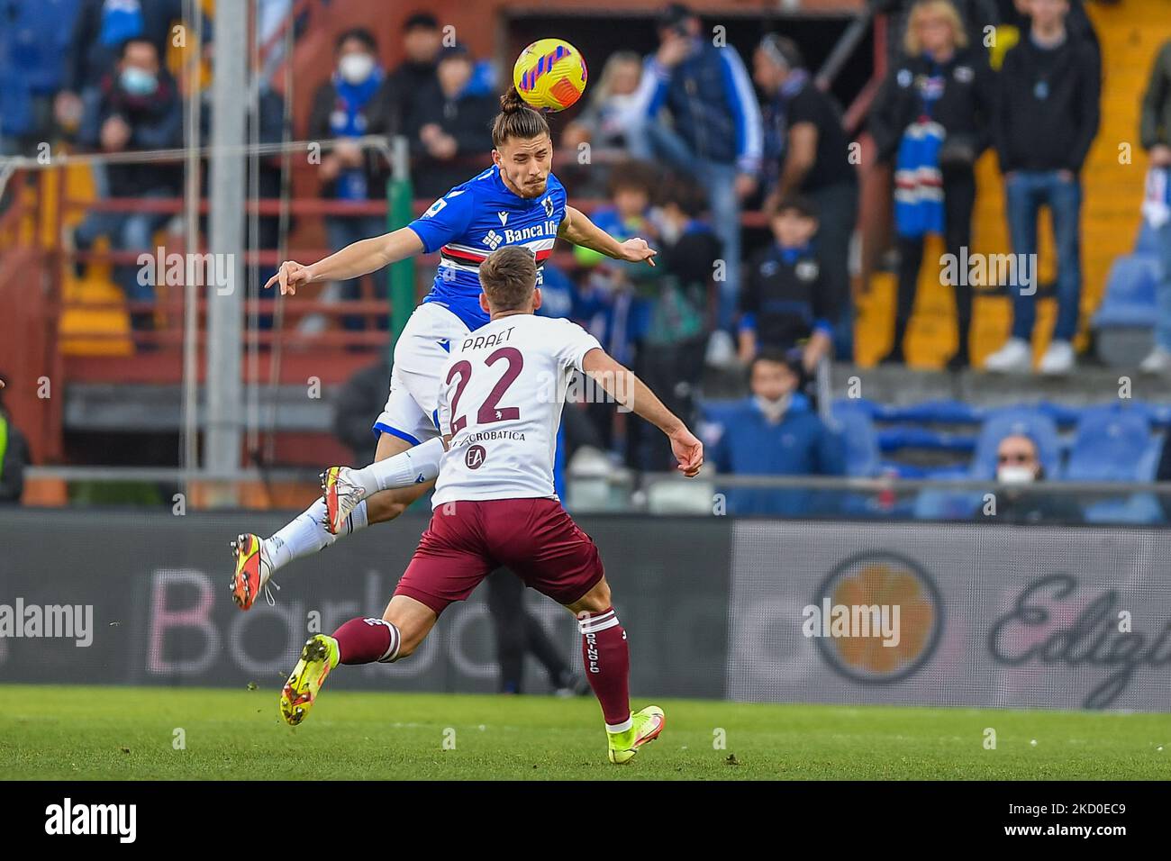 Radu Dragusin &#XA; (Sampdoria) Dennis Praet (Turin) pendant le football italien série A match UC Sampdoria vs Torino FC sur 15 janvier 2022 au stade Luigi Ferraris de Gênes, Italie (photo de Danilo Vigo/LiveMedia/NurPhoto) Banque D'Images