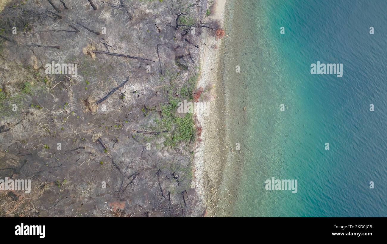 Image de haut en bas de la zone brûlée à la plage. Le drone capture une vue aérienne des séquelles des incendies de forêt de l'île d'Evia, l'une des plus grandes catastrophes environnementales du pays. Les scientifiques affirment que les feux de forêt ont été causés par le changement climatique après une longue période de temps sec avec des températures records dans le sud de l'Europe et la région méditerranéenne, causant les feux de forêt. Les populations locales sont dévastées car l'économie a été touchée par le feu, il était fortement lié à la nature et la forêt pour la production de miel ou de résine mais aussi pour le tourisme comme la région était une destination naturelle populaire Banque D'Images