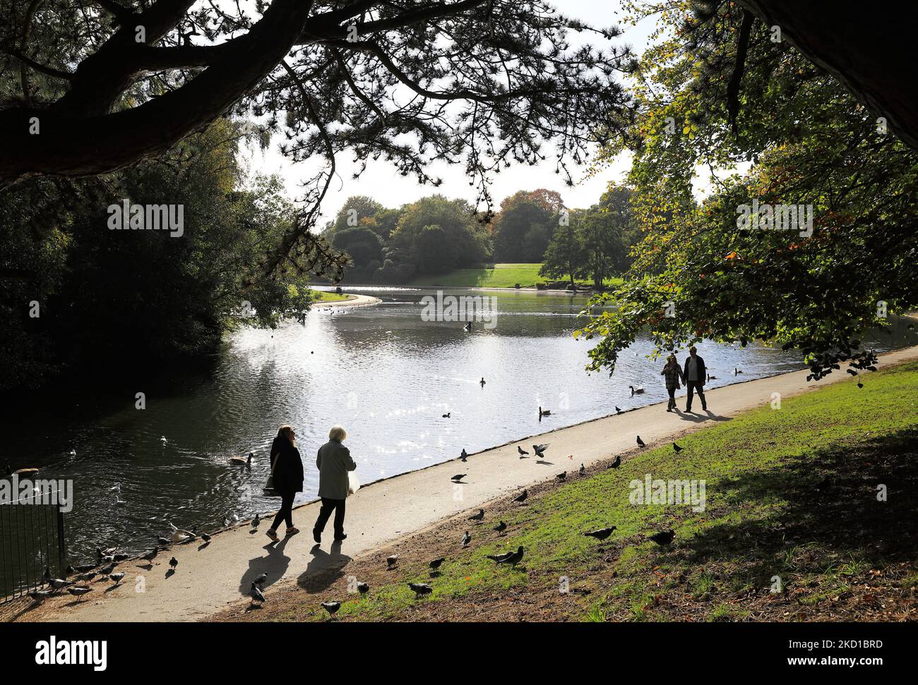 Magnifique parc de Sefton, dans le sud de Liverpool, un parc historique de classe 1, sous le soleil d'automne, dans le nord-ouest de l'Angleterre, Royaume-Uni Banque D'Images