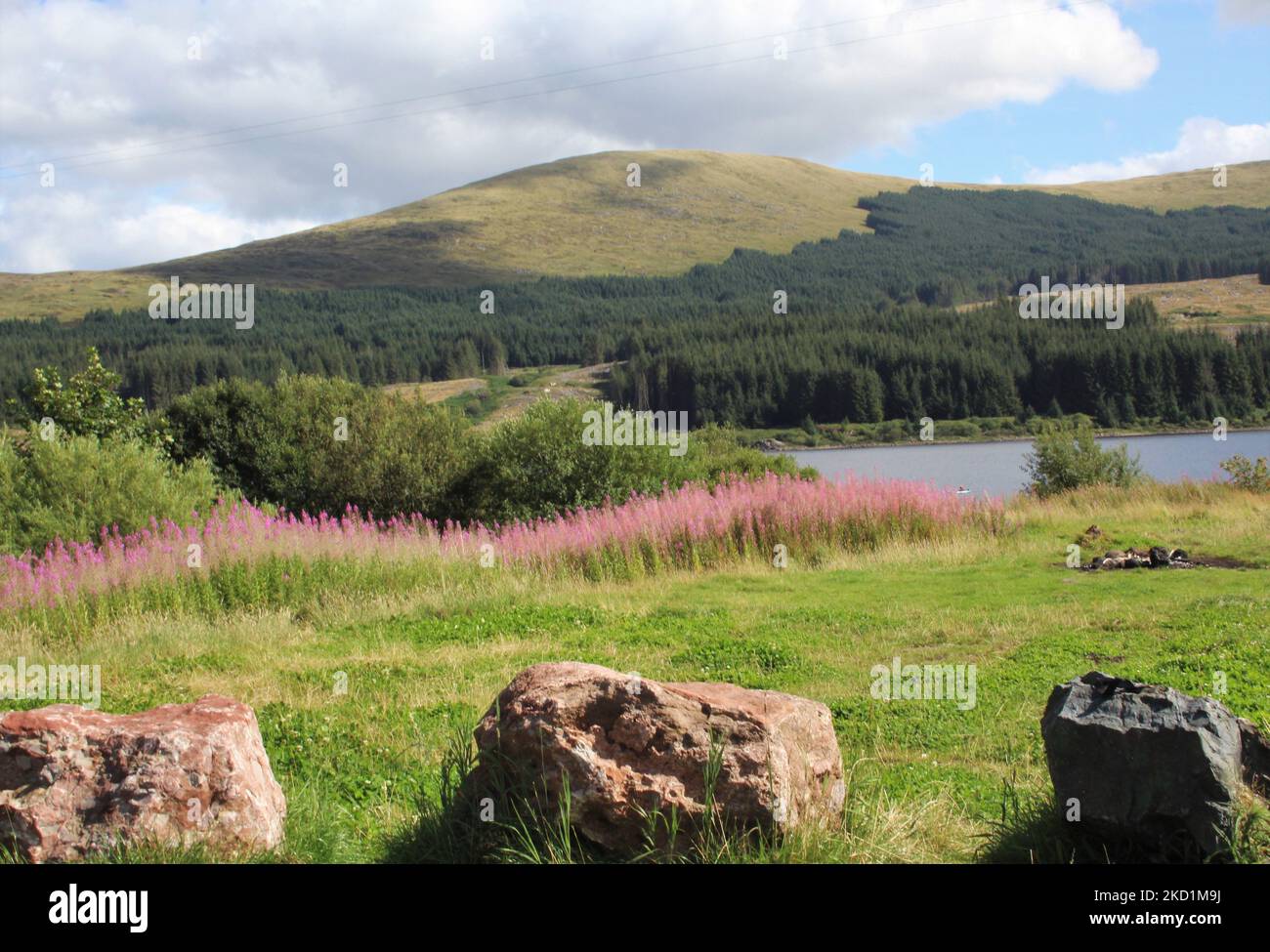 Galloway Forest Park - Écosse Banque D'Images