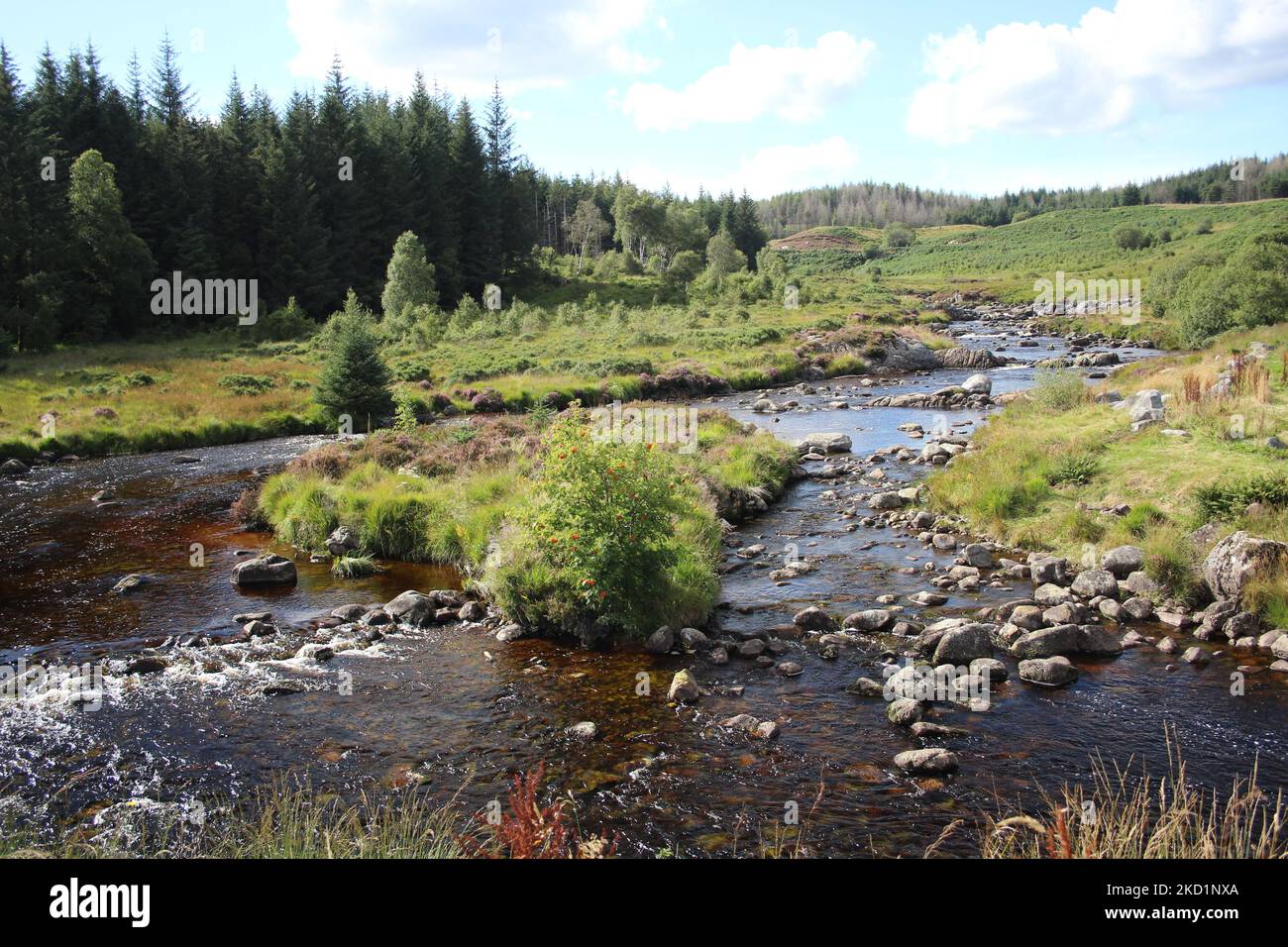 Galloway Forest Park - Écosse Banque D'Images