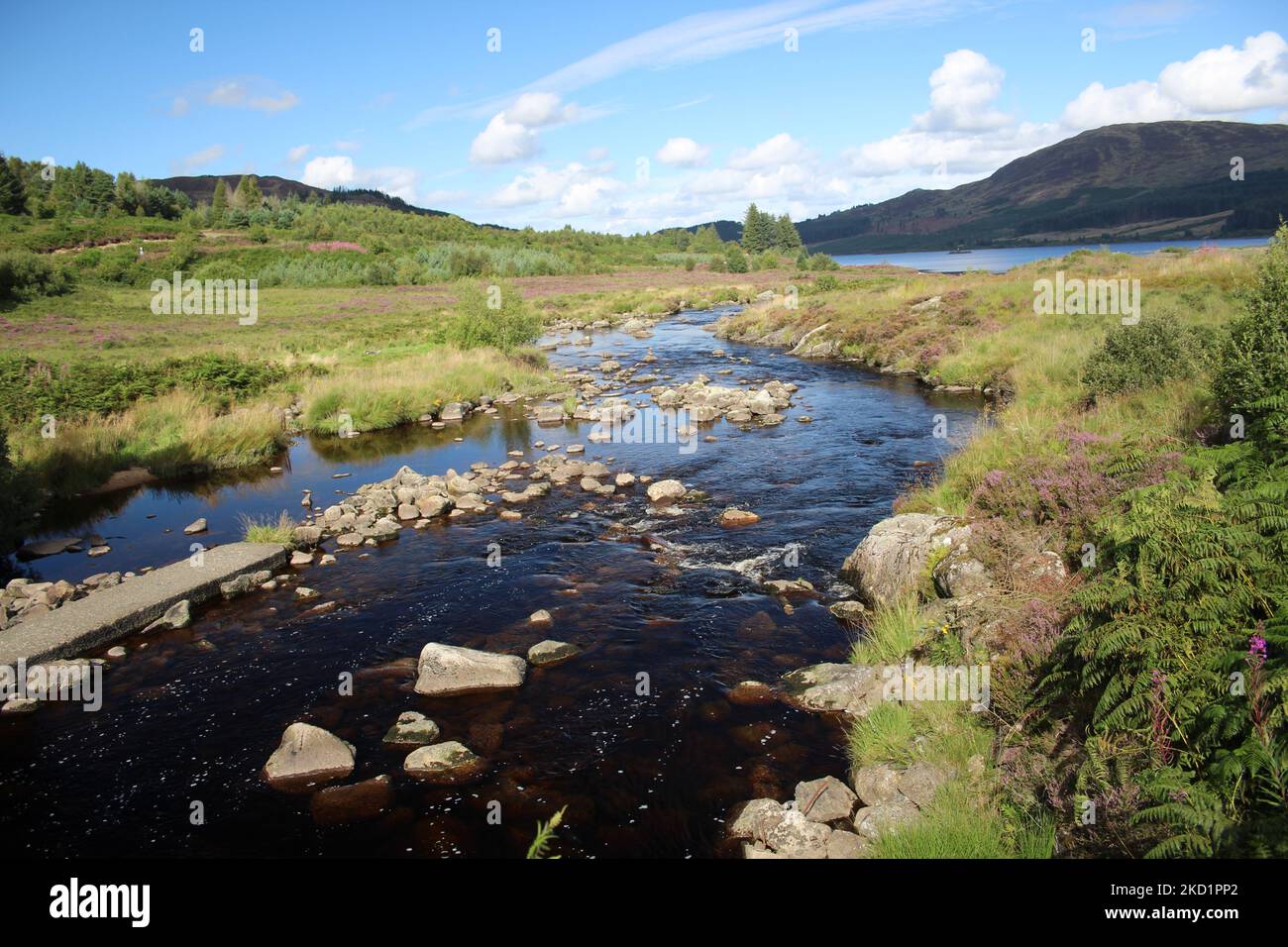 Galloway Forest Park - Écosse Banque D'Images