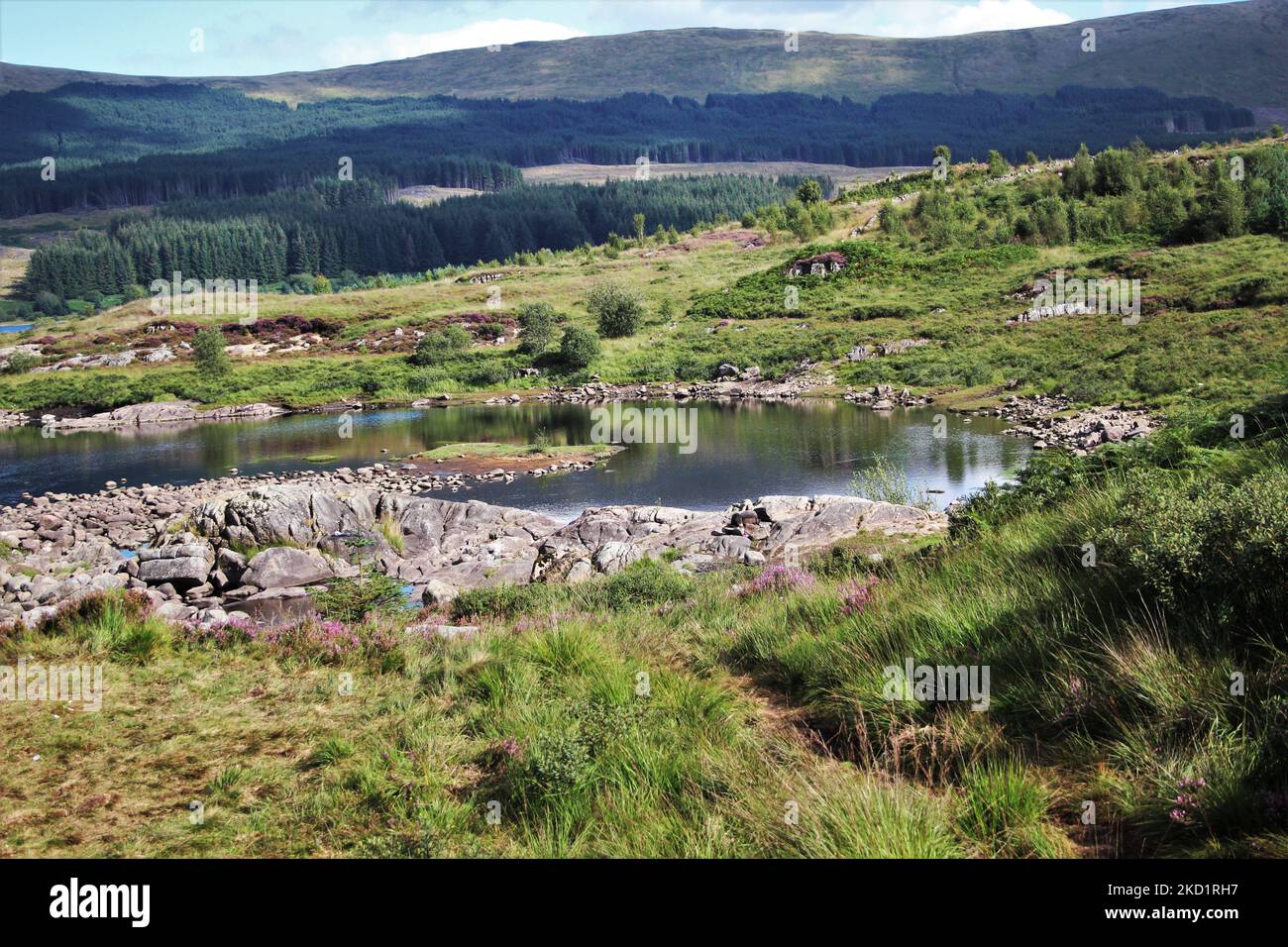 Galloway Forest Park - Écosse Banque D'Images