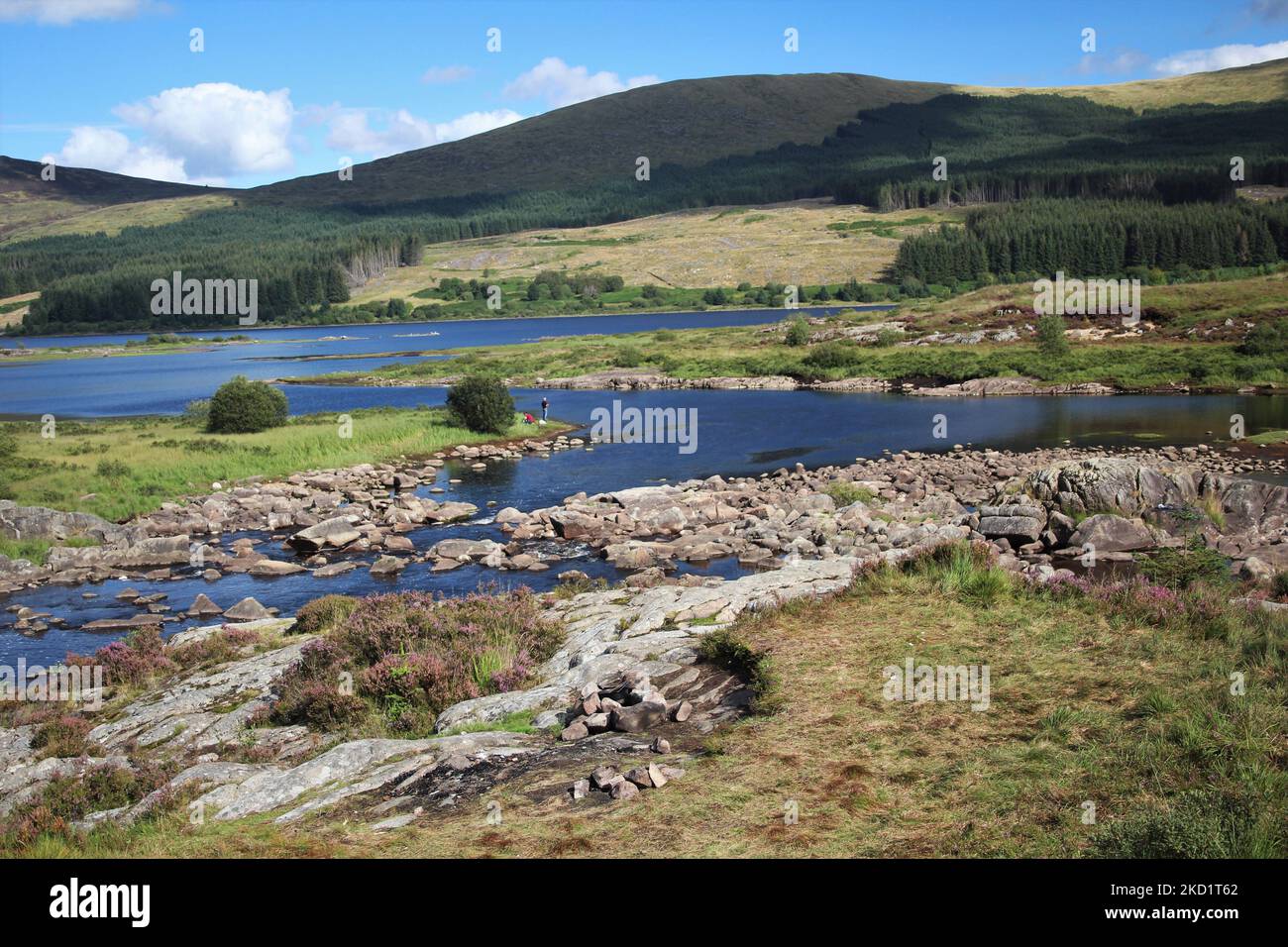 Galloway Forest Park - Écosse Banque D'Images