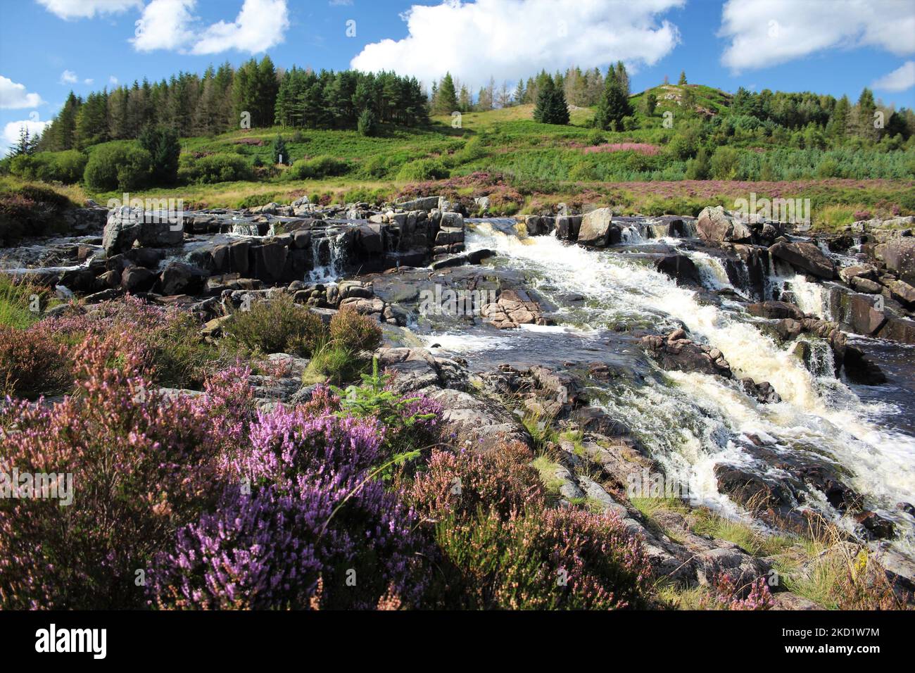 Galloway Forest Park - Écosse Banque D'Images