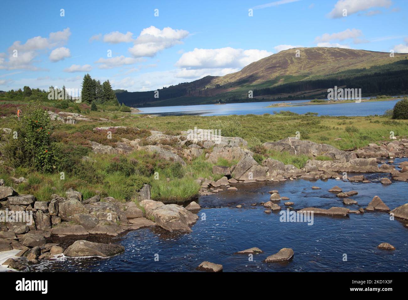 Galloway Forest Park - Écosse Banque D'Images
