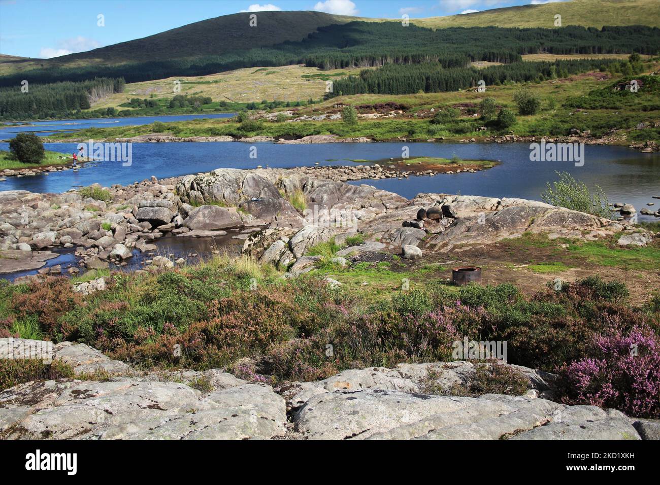 Galloway Forest Park - Écosse Banque D'Images