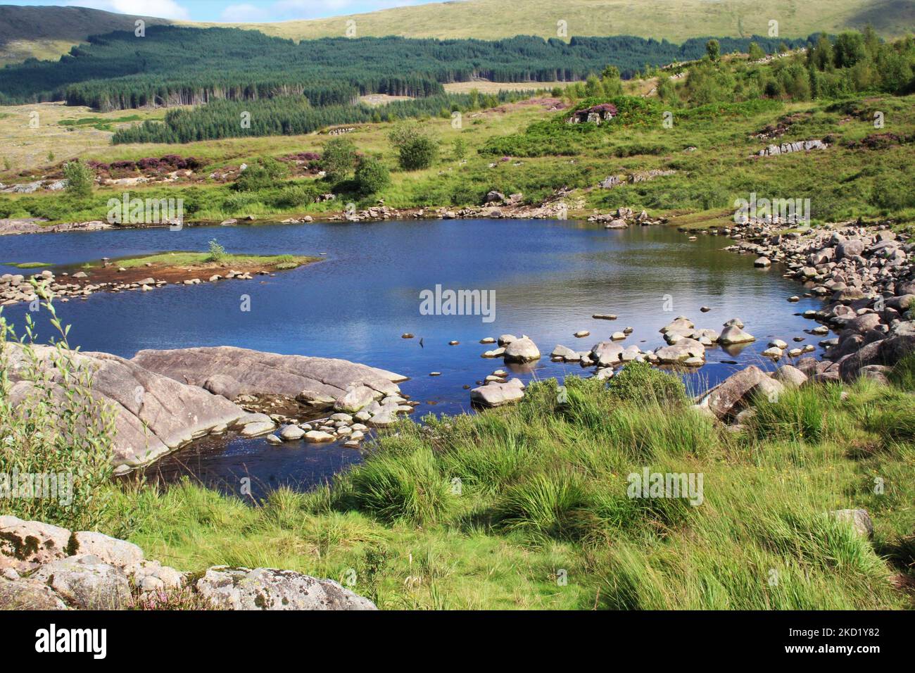 Galloway Forest Park - Écosse Banque D'Images