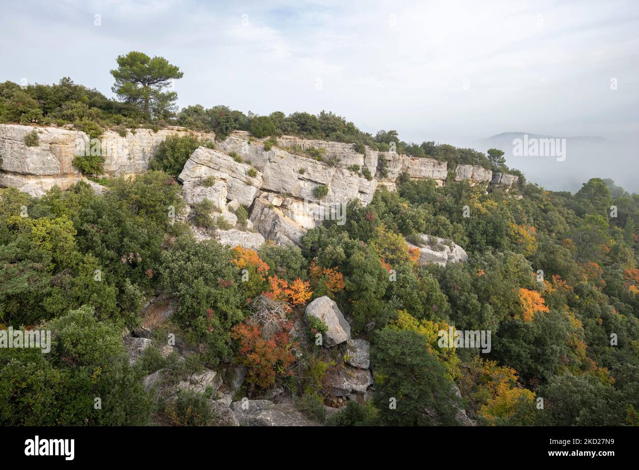 Matin brumeux en Provence, Sud de la France Banque D'Images