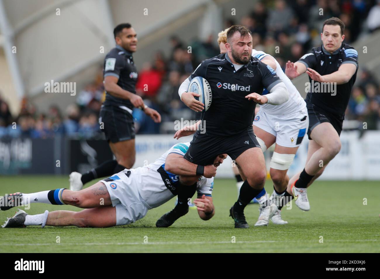 George McGuigan de Newcastle Falcons lors du match Gallagher Premiership entre Newcastle Falcons et Bath Rugby à Kingston Park, Newcastle, le samedi 26th février 2022.(photo de Chris Lishman/MI News/NurPhoto) Banque D'Images