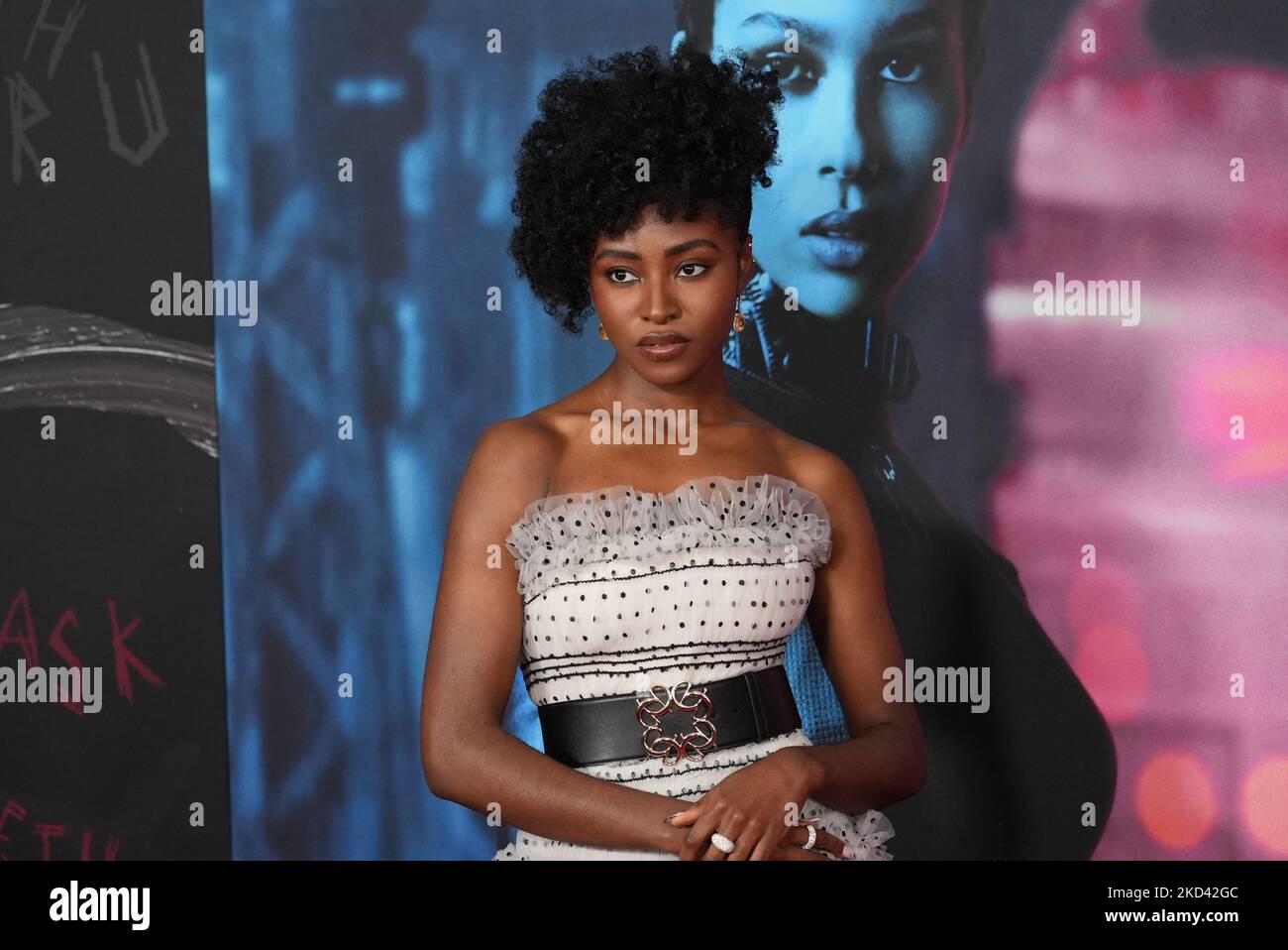 Jayme Lawson assiste à la première mondiale de 'The Batman' au Lincoln Center Josie Robertson Plaza mardi, 1 mars 2022, à New York. (Photo de John Nacion/NurPhoto) Banque D'Images