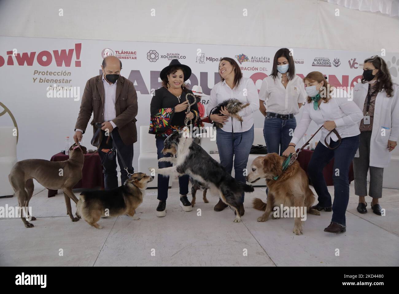 Maires de Mexico lors de l'inauguration d'un parc pour chiens dans la forêt de Tláhuac. Ce site est équipé de structures spéciales et de jeux pour animaux de compagnie, ainsi que de mesures de sécurité pour les empêcher de subir des accidents. (Photo de Gerardo Vieyra/NurPhoto) Banque D'Images