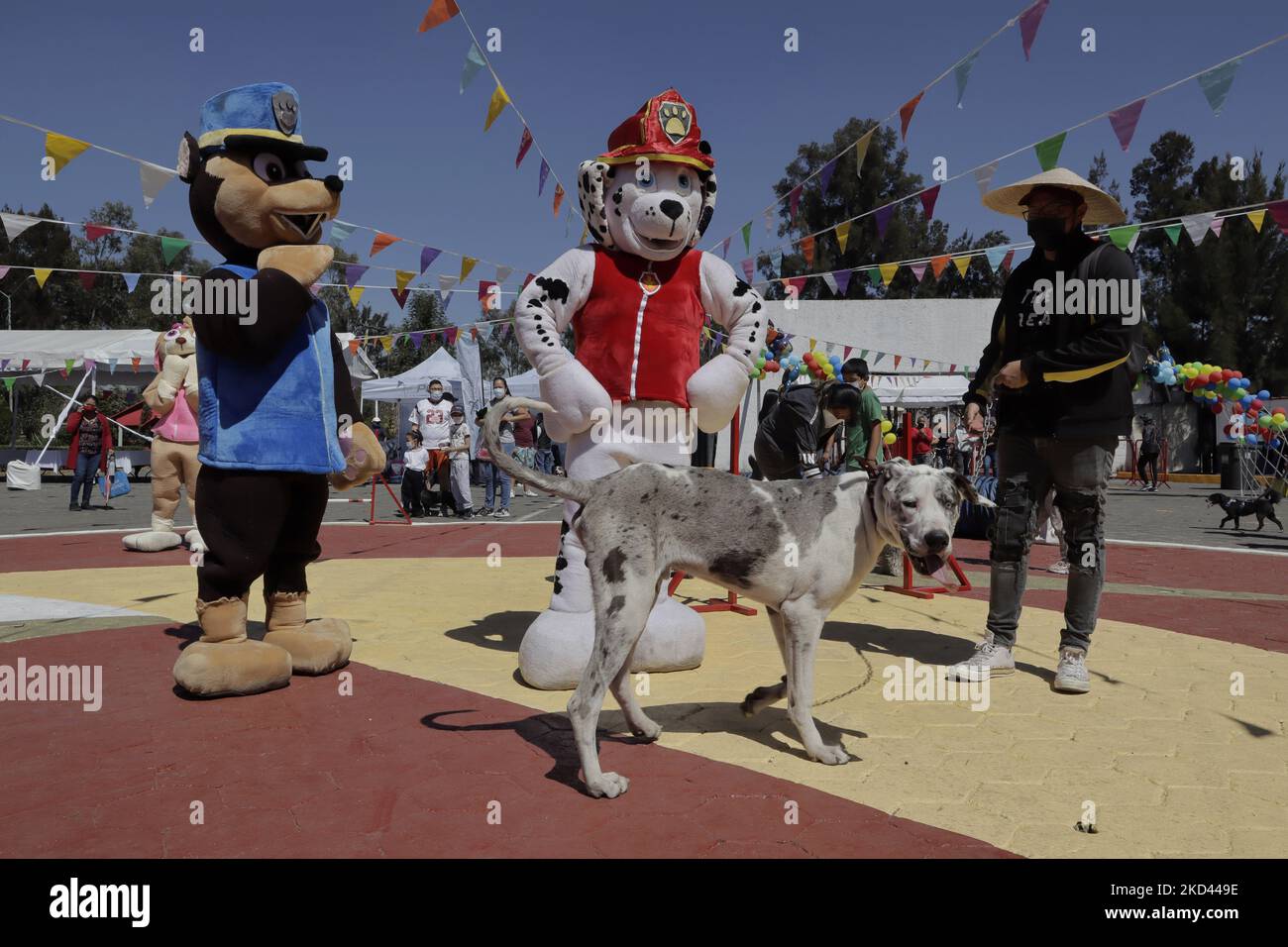 Vue panoramique lors de l'inauguration d'un parc pour chiens dans la forêt de Tláhuac à Mexico. Ce site est équipé de structures spéciales et de jeux pour animaux de compagnie, ainsi que de mesures de sécurité pour les empêcher de subir des accidents. (Photo de Gerardo Vieyra/NurPhoto) Banque D'Images