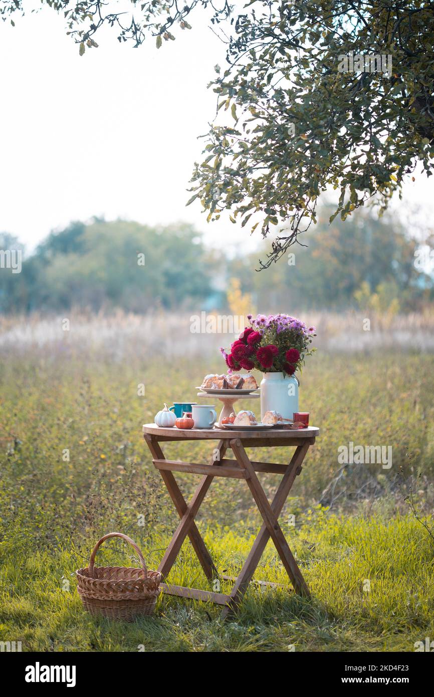 ambiance automnale. thé dans le jardin. tarte aux pommes, thé, bouquet d'aster et décoration citrouille Banque D'Images